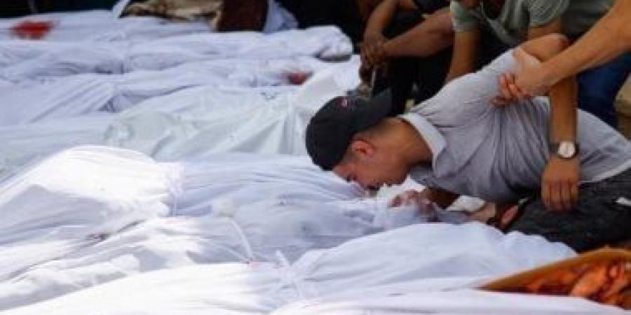 45 شهيدا فى قطاع غزة منذ فجر الخميس - البطريق نيوز