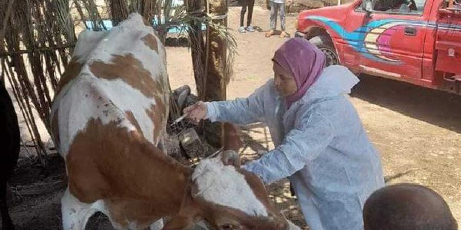 "الزراعة" تواصل حملاتها للتحصين ضد الحمى القلاعية والوادي المتصدع