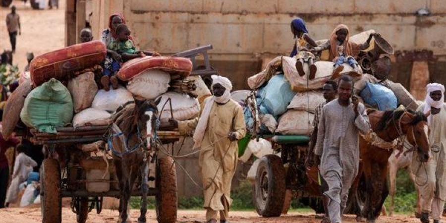 نازك يوسف لـ"الدستور": نساء السودان ضحايا الحرب.. ويتعرضن للاغتصاب والعنف الجنسي