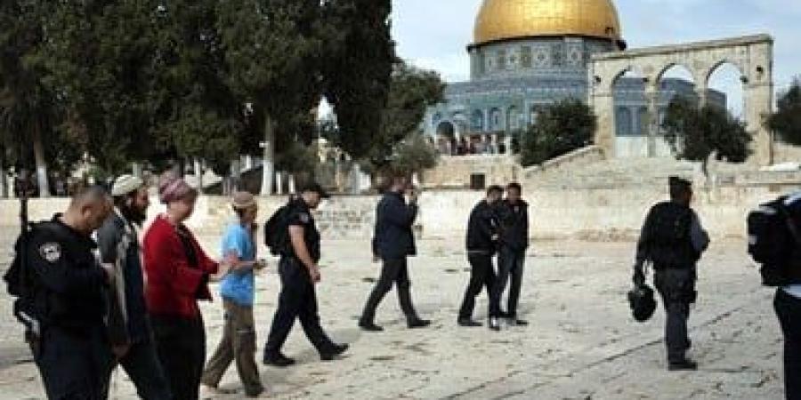 مستوطن يعرض الزواج على مستوطنة خلال اقتحام المسجد الأقصى - البطريق نيوز