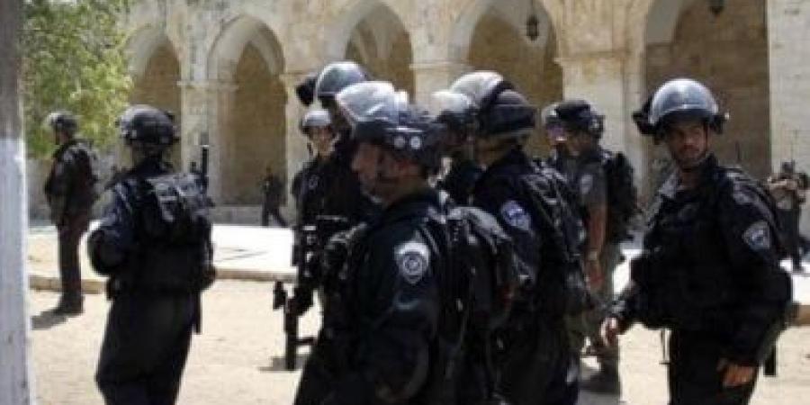 استشهاد 13 فلسطينيا وإصابة آخرين جراء قصف الاحتلال المتواصل على مدينة غزة - البطريق نيوز