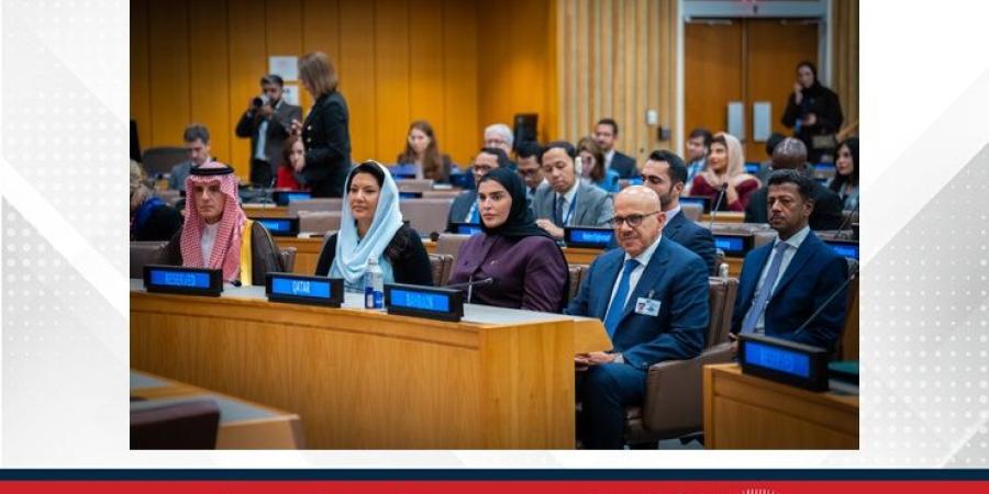 وزير الخارجية يشارك في المؤتمر رفيع المستوى الخاص بالدبلوماسية المائية - البطريق نيوز