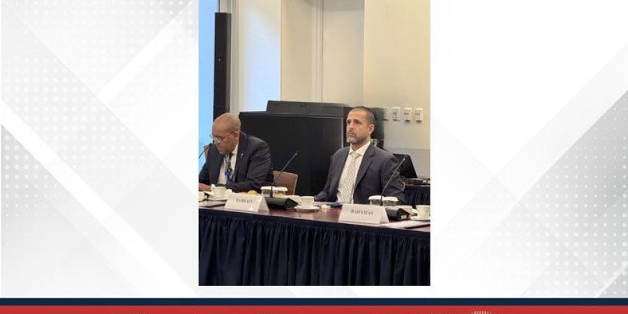 وكيل وزارة الخارجية للشؤون السياسية يشارك في الاجتماع الوزاري الثامن عشر لمجموعة الحوكمة العالمية - البطريق نيوز