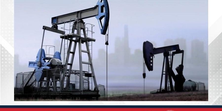 النفط يستقر بعد يومين متتاليين من الخسائر - البطريق نيوز