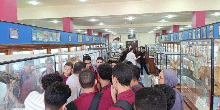 تطوير التعليم بالوزراء: زيارة تعليمية لطلاب معهد الكوزن المصري الياباني إلى المتحف الجيولوجي المصري - البطريق نيوز