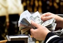 كم راتب البروفيسور السعودي