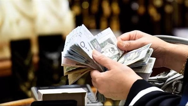 كم راتب البروفيسور السعودي