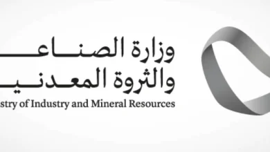 ضوابط جديدة لممارسة الصناعة خارج المواقع المخصصة