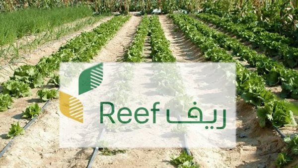 خطوات التسجيل في دعم ريف 1447/2025