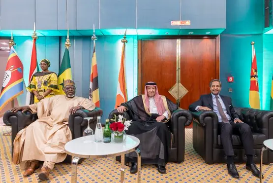 السعودية تعلن استثمارات بـ25 مليار دولار في أفريقيا وتوسع دبلوماسي بـ40 سفارة