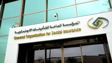 «فرص مضاعفة».. خبير يوضح أحقية مشترك التأمينات بالتسجيل في أكثر من وظيفة لزيادة الدخل