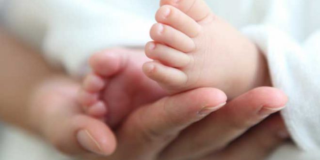 أخيرًا.. منفعة الأمومة تدخل حيز التنفيذ لحماية العاملات في القطاعين العام والخاص