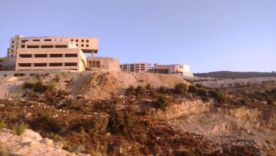 تخصصات جامعة الزيتونة للعلوم والتكنولوجيا