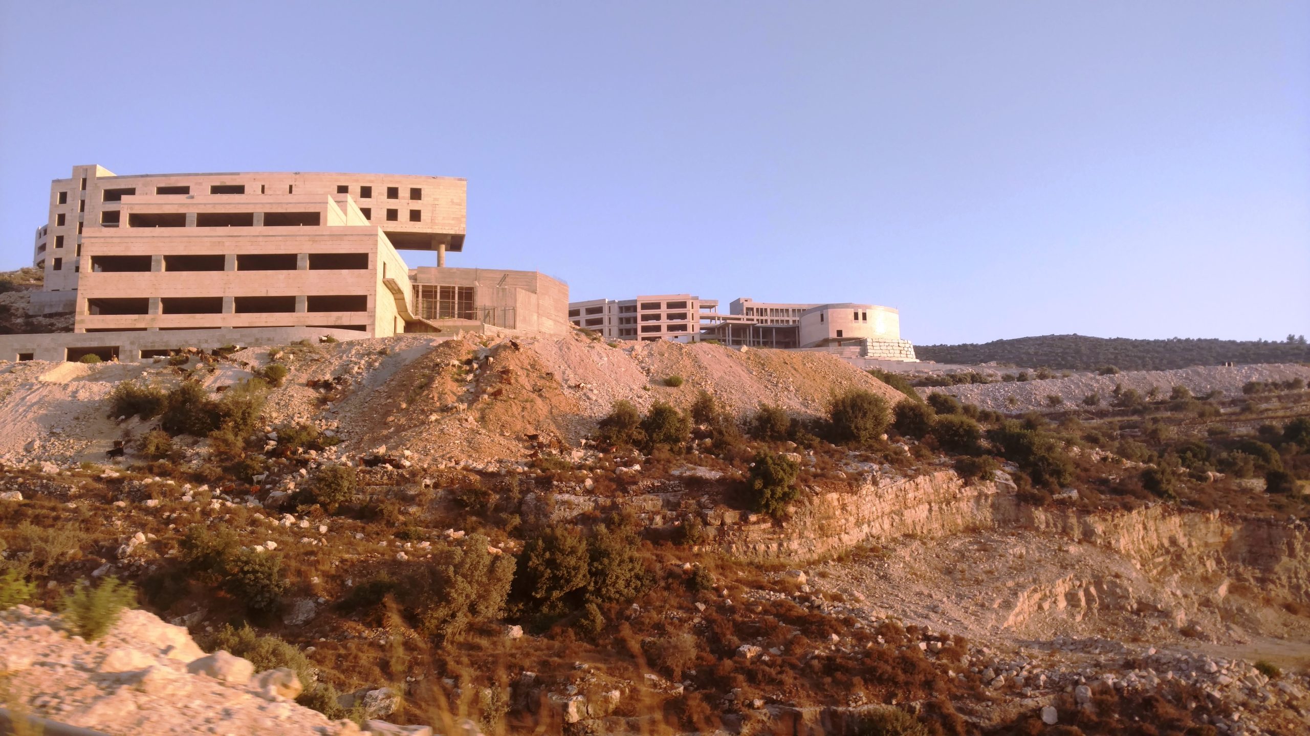 تخصصات جامعة الزيتونة للعلوم والتكنولوجيا