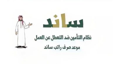 تسهيل التسجيل في دعم البطالة عبر منصة ساند للعاطلين عن العمل 2025 وكيفية إتمام الإجراءات بسرعة