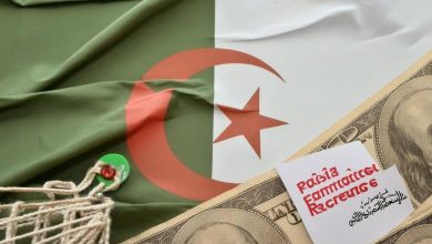 كيفية كشف نتائج المراسلة نتائج امتحان اثبات المستوى onefd.edu.dz 2025 فضاء الأولياء