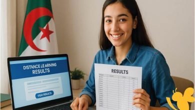 نتائج المراسلة الديوان الوطني للتعليم والتكوين عن بعد