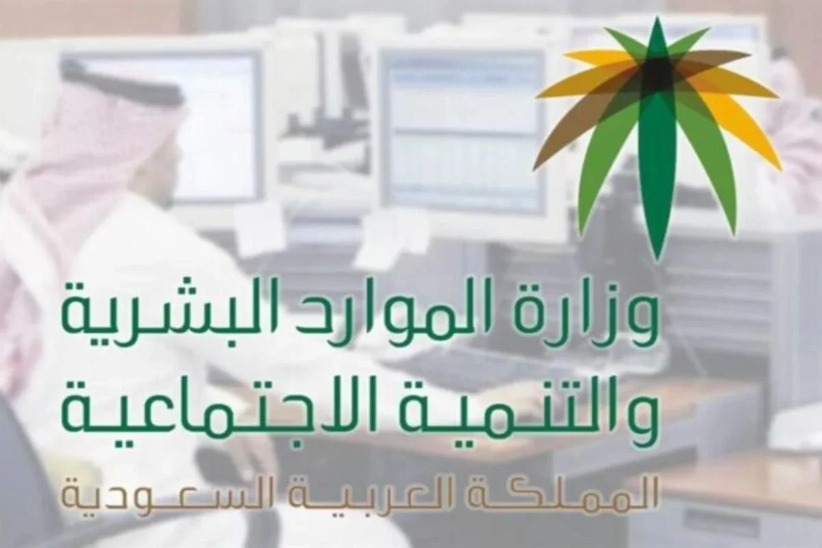 نقل الكفالة في النظام الجديد