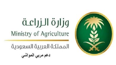 وزارة البيئة والمياه والزراعة تكشف عن شروط الحصول على دعم مربي المواشي في السعودية