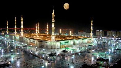 المدينة المنورة