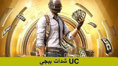 شحن شدات ببجي