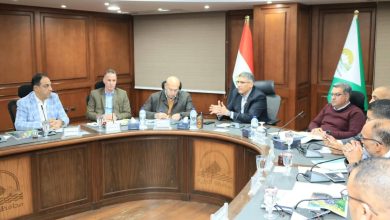 محافظ الجيزة