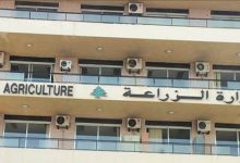 وزارة الزراعة
