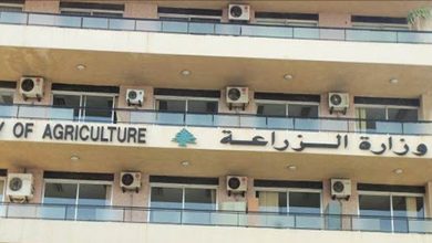 وزارة الزراعة