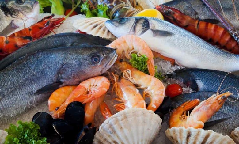 أسعار الأسماك والجمبري اليوم في سوق العبور الأحد 18 يناير 2026.. تفاوت كبير في الأصناف – مشاهير