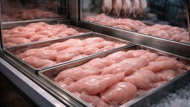 أسعار البانيه