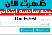 تيجة الصف السادس