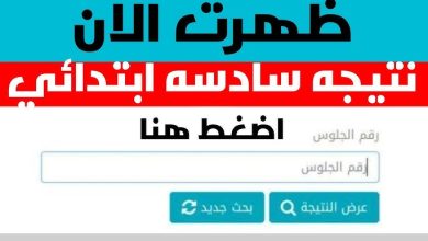 تيجة الصف السادس