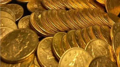 سعر الجنيه الذهب